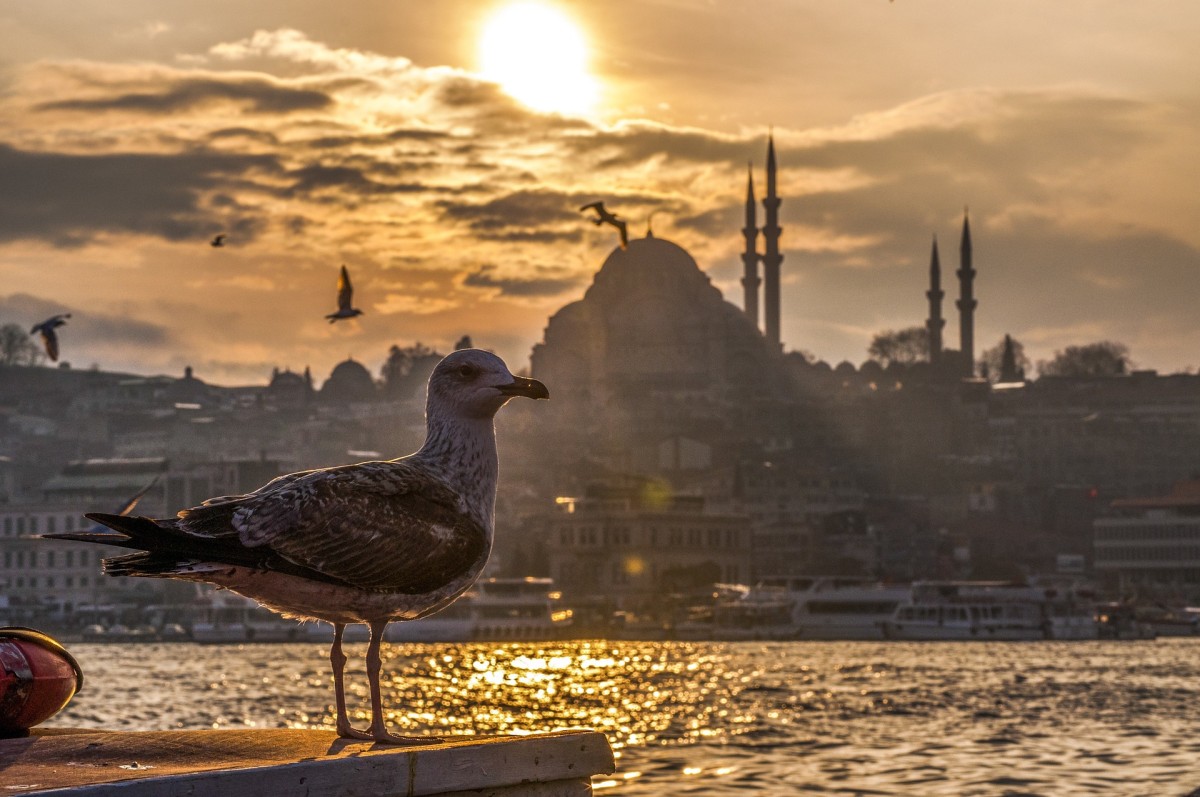Ah İstanbul / Bilgi Şakar