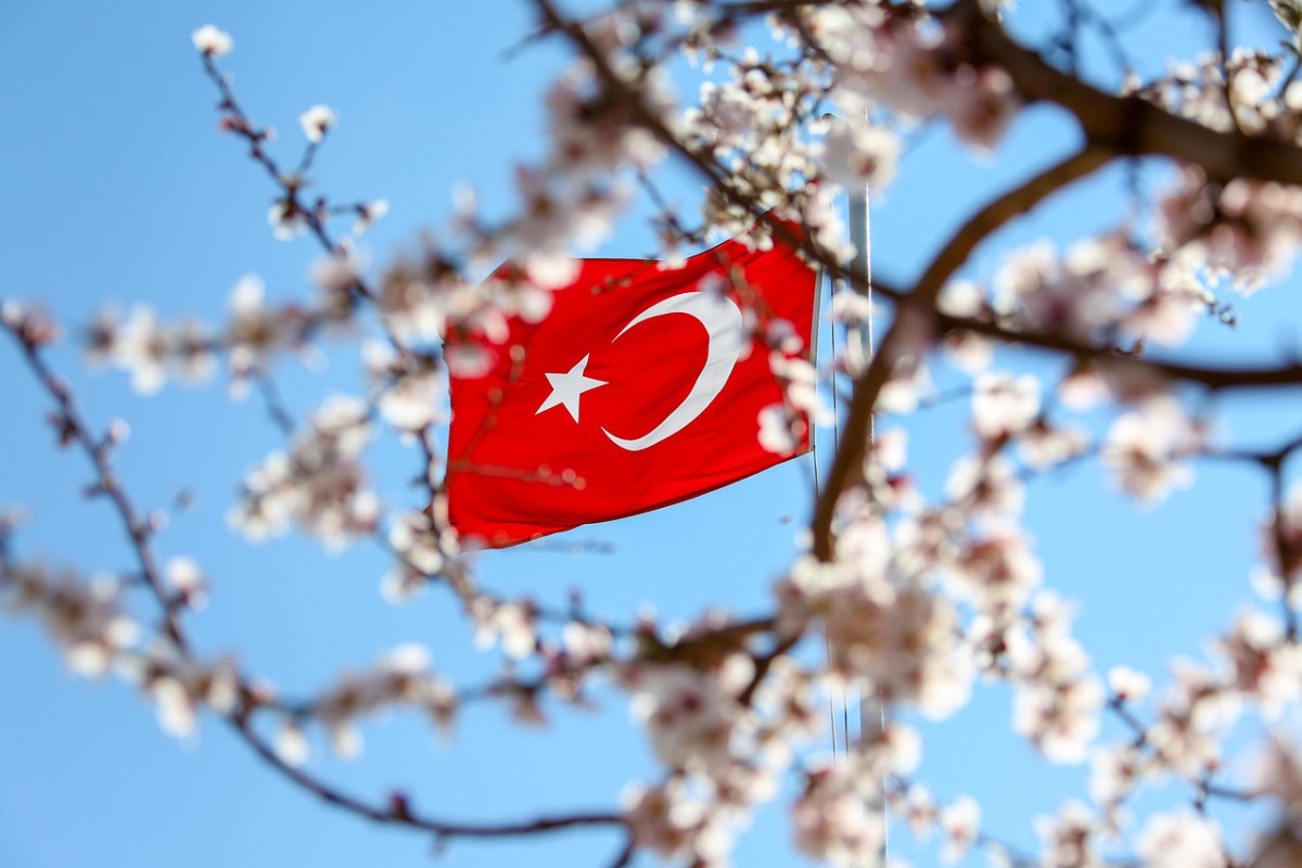 Acımız Bir Sevincimiz Bir /Ali Erdin