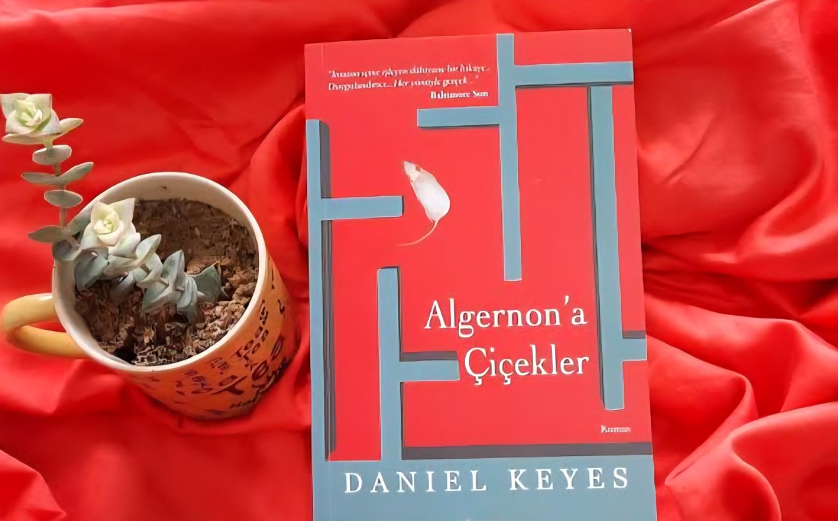 Bir Kitap: Algernon'a Çiçekler - Daniel Keyes / Aylin Özgür 